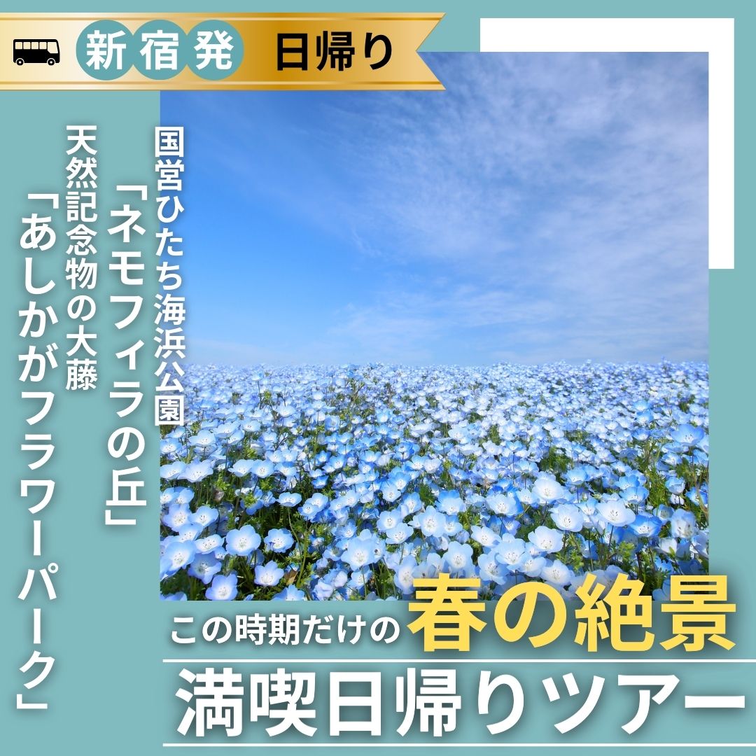【新宿発】春の絶景バスツアー