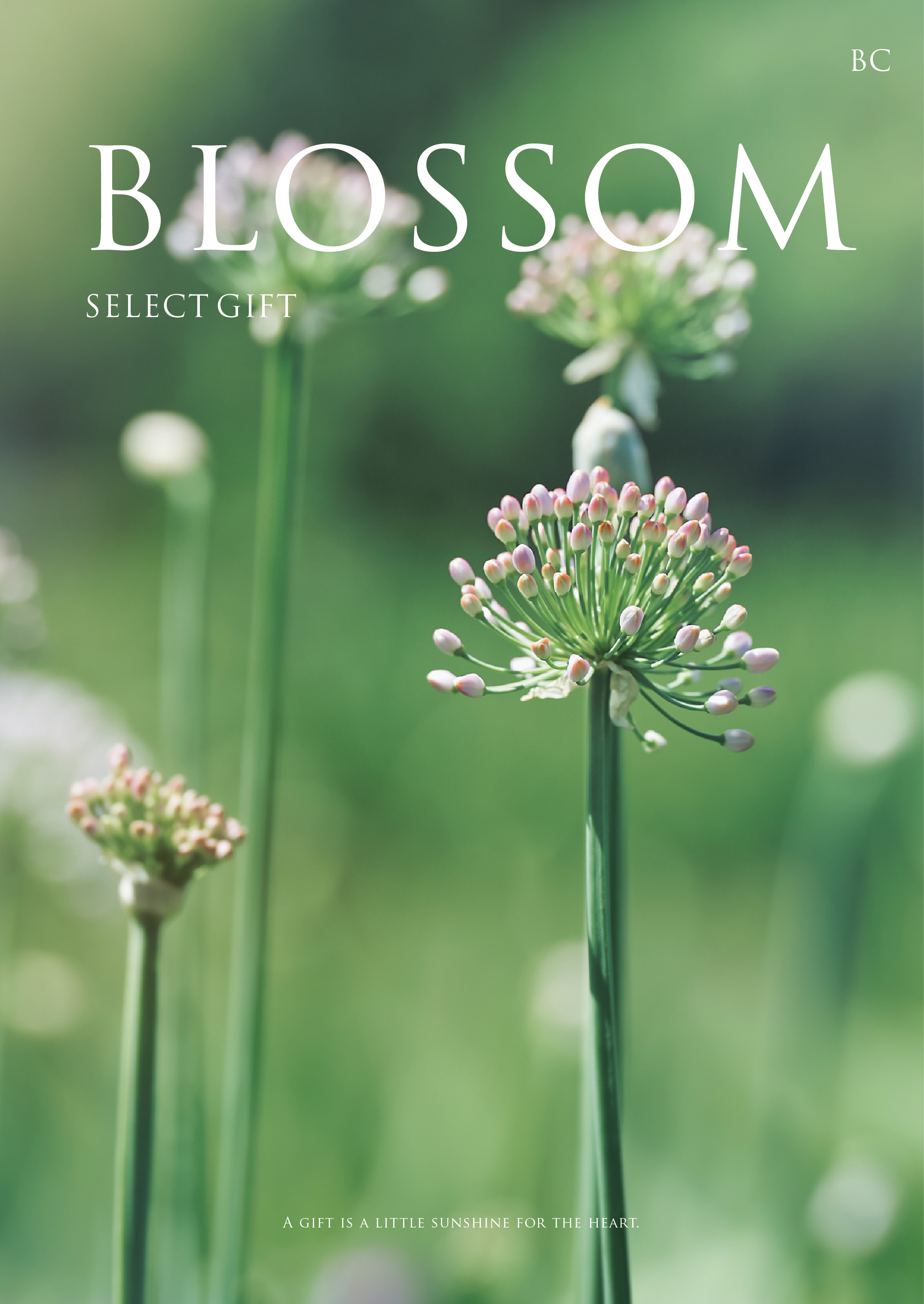 カタログギフト「ブロッサム チューリップ」