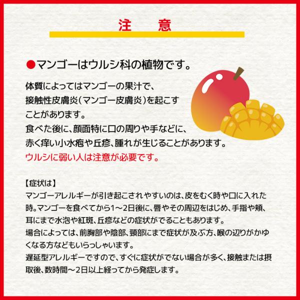 【予約販売】宮崎完熟マンゴー（2L）9個入り期間限定販売（７月上旬から順次発送）