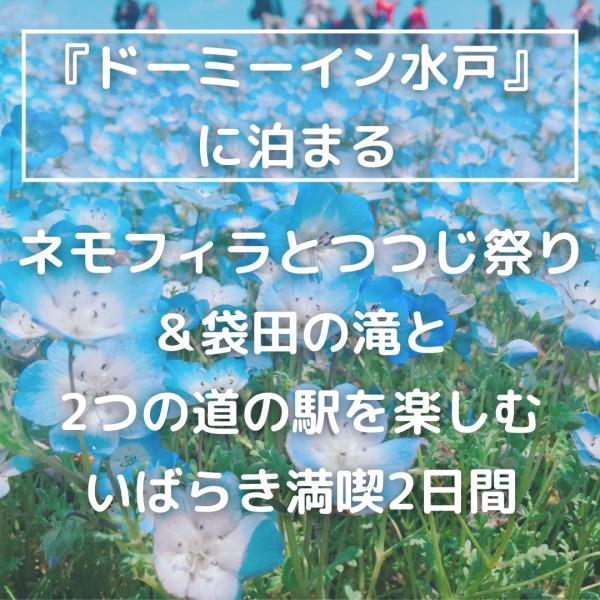 【首都圏発】『ドーミーイン水戸』に泊まる　春の訪れを感じる 花々に包まれる2日間へ