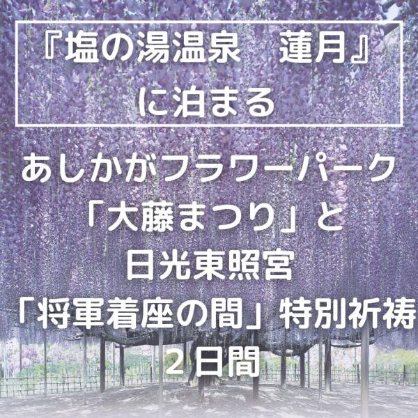【首都圏発】あしかがフラワーパーク「大藤まつり」と日光東照宮「将軍着座の間」特別祈祷　2日間