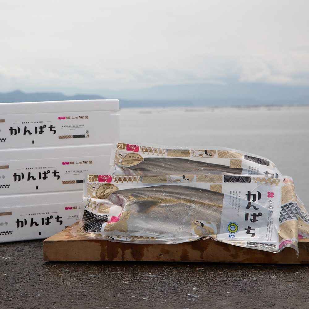 かのやカンパチ（フィーレ）2枚