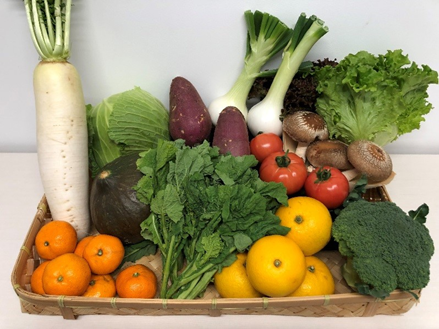 【道の駅 保田小学校】鋸南町「四季のお野菜」セット