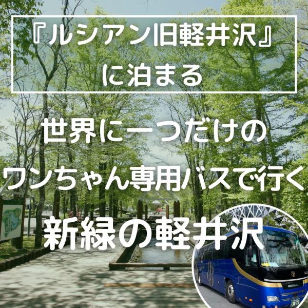 【新宿発】『ルシアン旧軽井沢』に泊まる　世界に一つだけのワンちゃん専用バスで行く新緑の軽井沢
