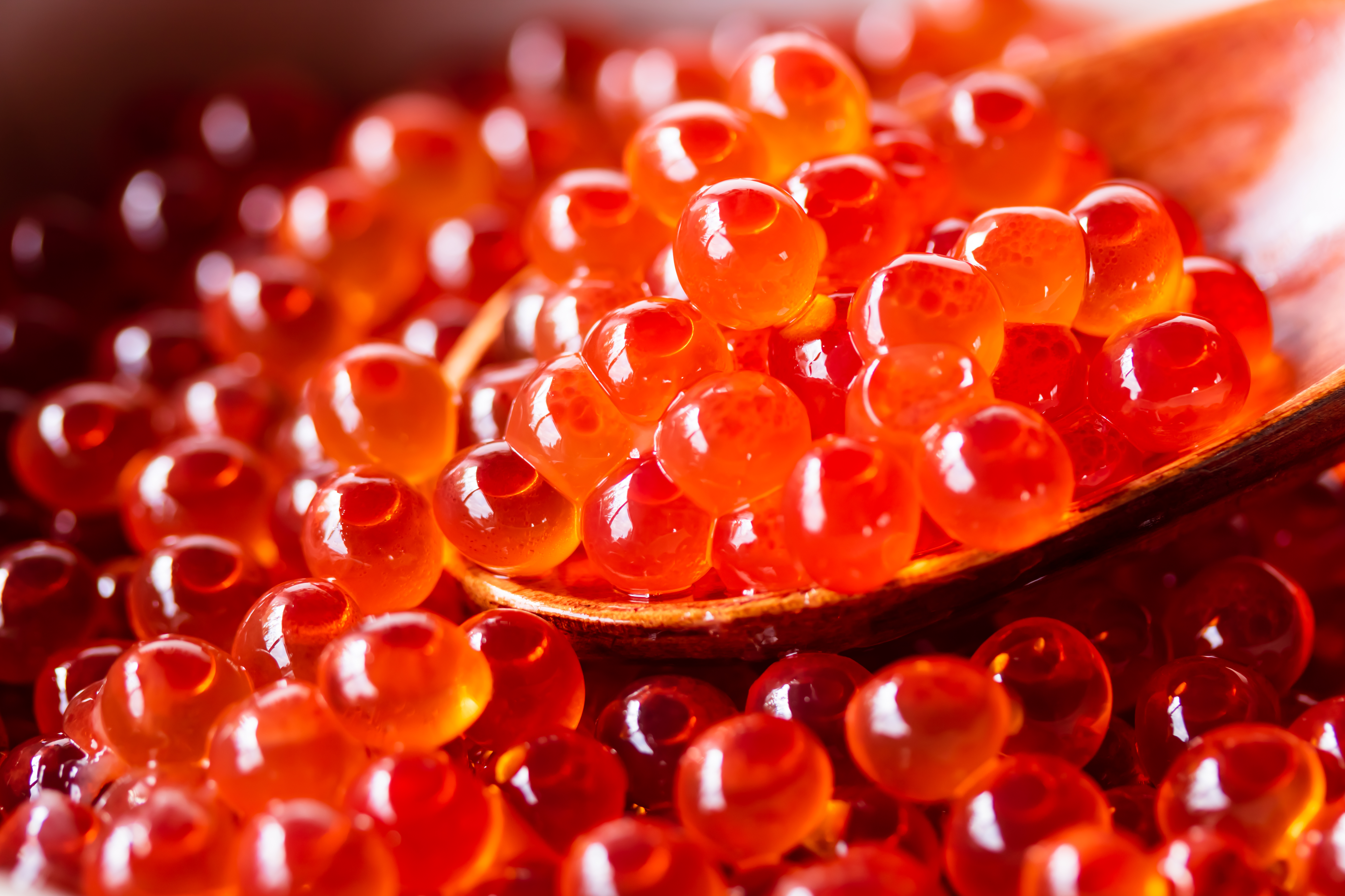 イクラ醬油漬　500g