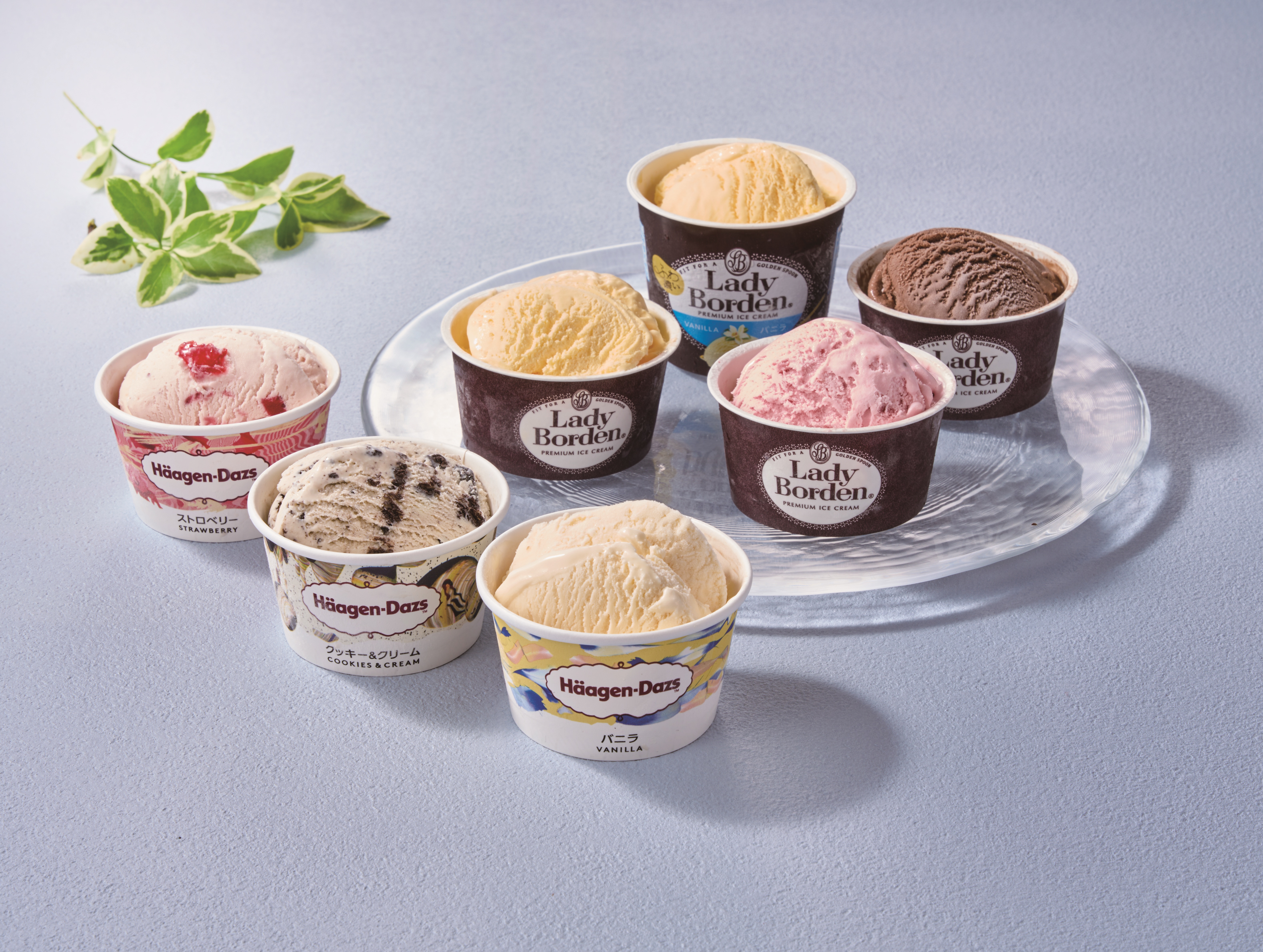 【お中元ギフト】「レディーボーデン」＆「ハーゲンダッツ」アイスセット　期間限定販売