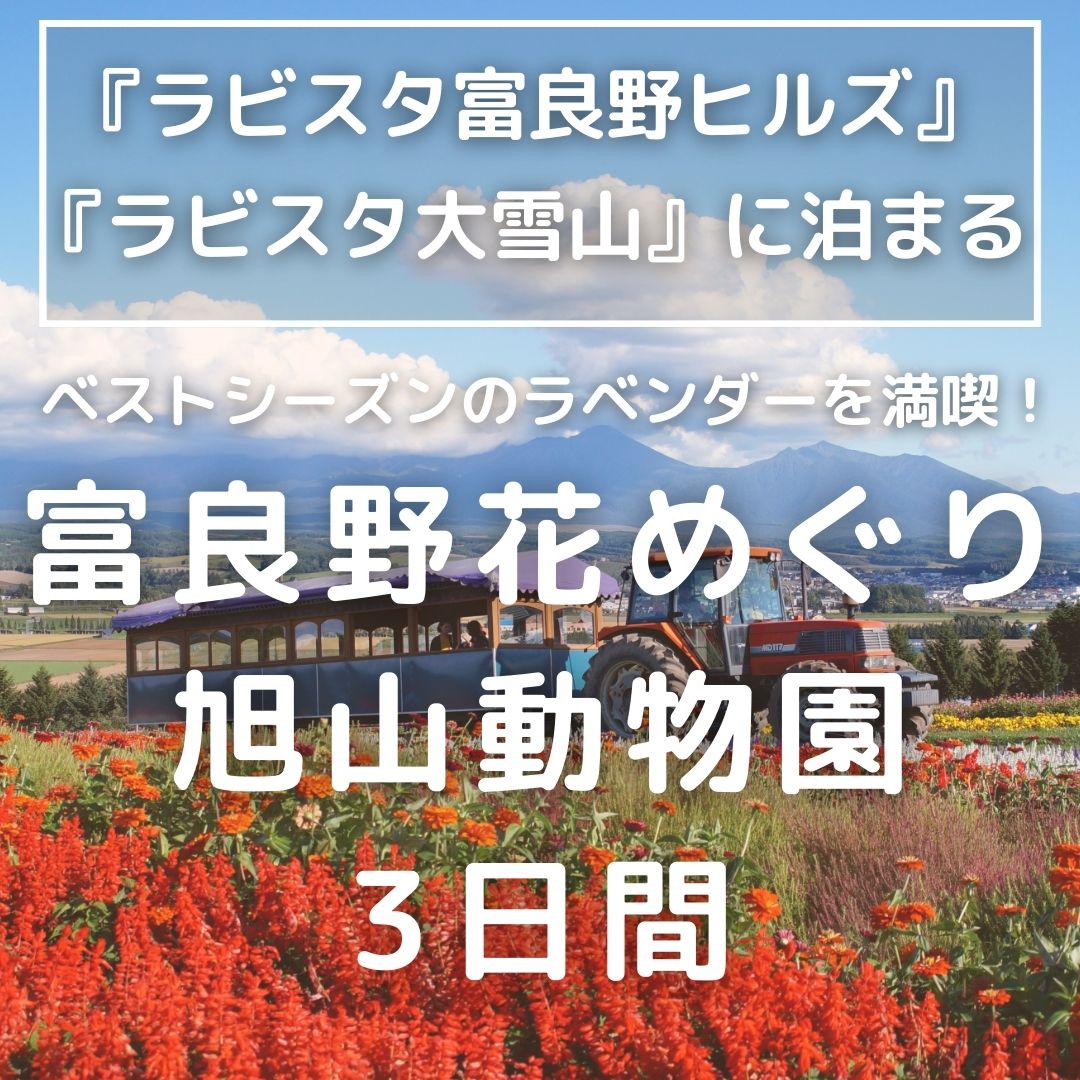 【羽田発】『ラビスタ富良野ヒルズ』と『ラビスタ大雪山』に泊まる　富良野花めぐりと旭山動物園　3日間