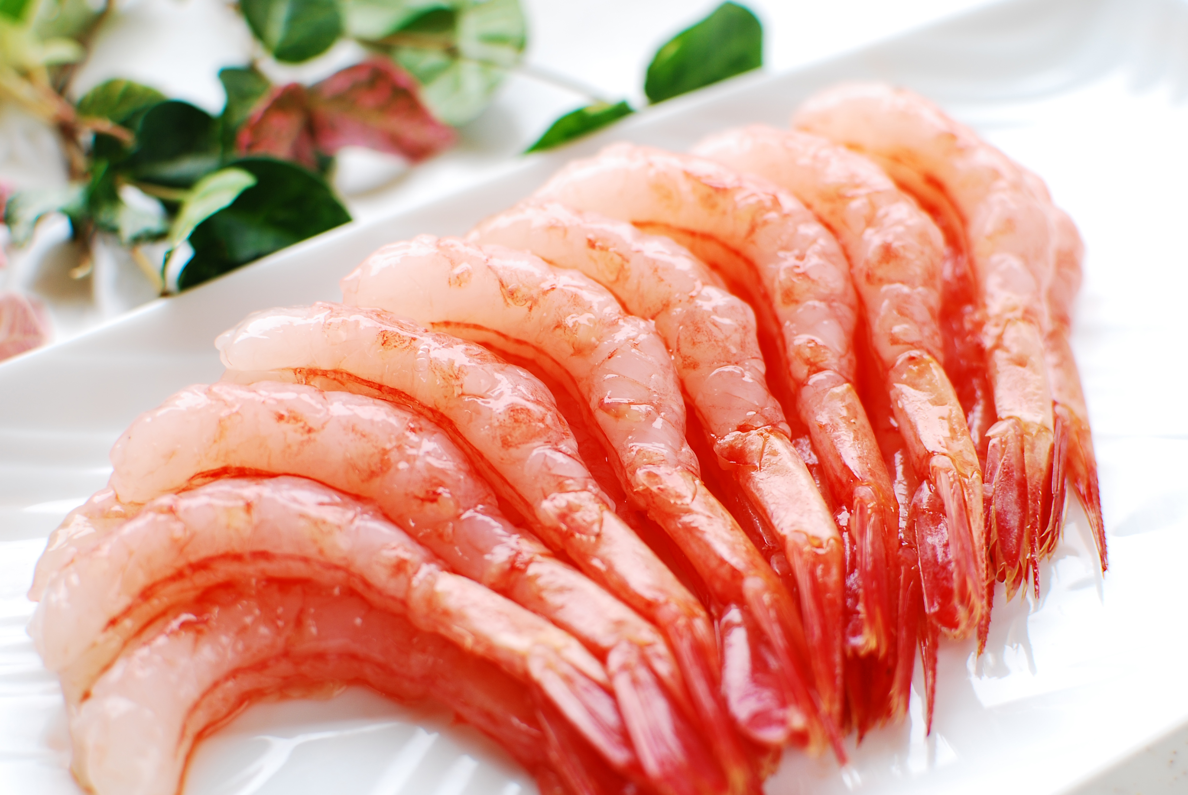 お刺身用甘えび　500g