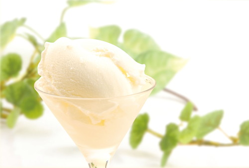 フローズンヨーグルト　10個セット