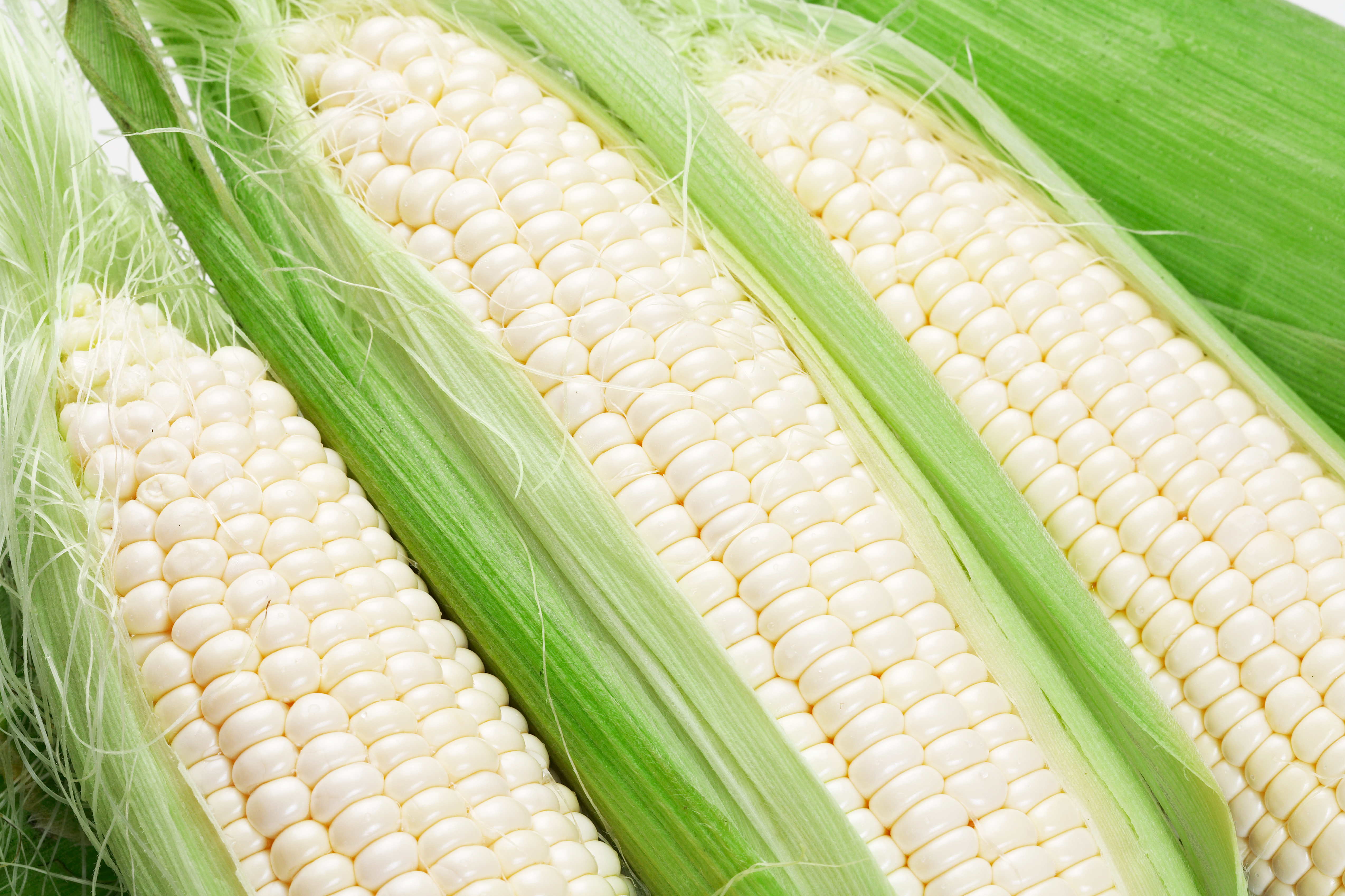 【予約販売】雪の妖精　10本