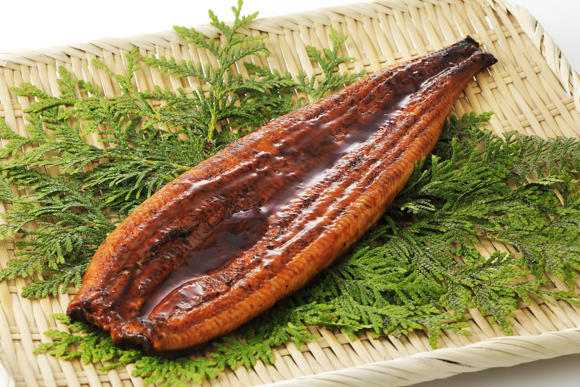 山田のうなぎ（鹿児島産）10尾