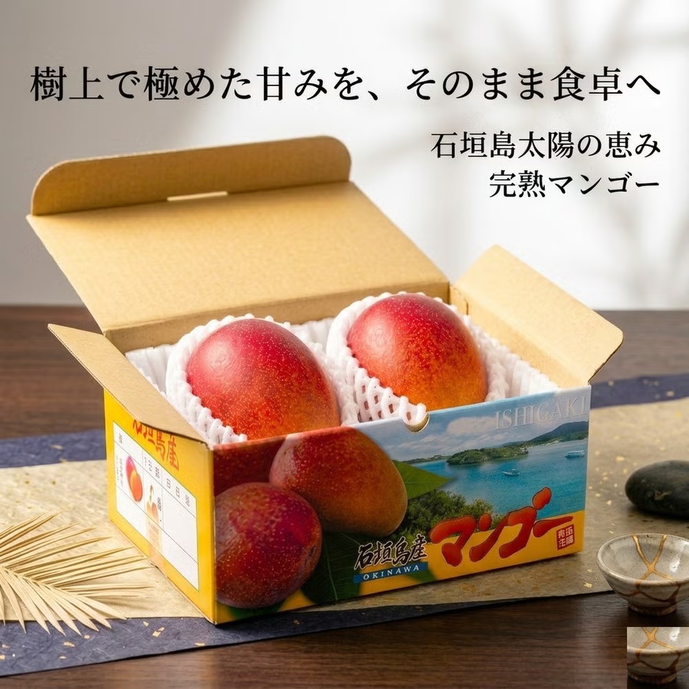 石垣島太陽の恵み 完熟マンゴー 約1kg(2～3玉)
