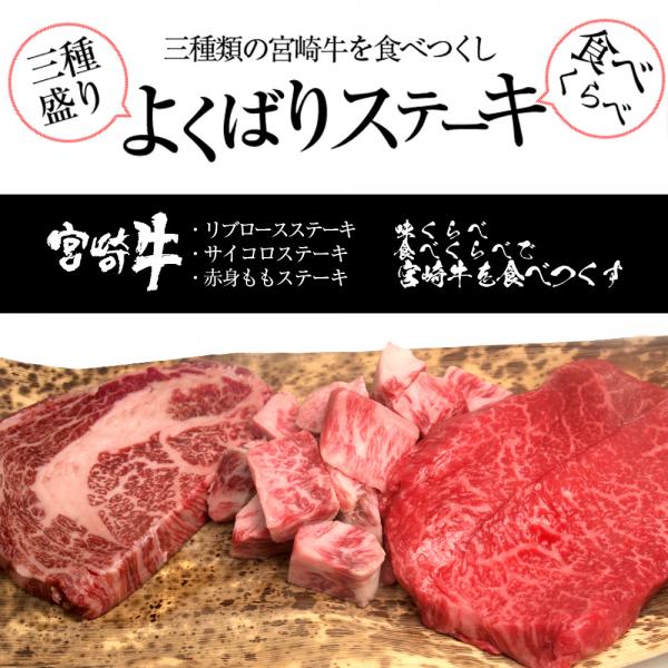 A5～A4等級 宮崎牛ステーキ食べ比べ3種盛りセット