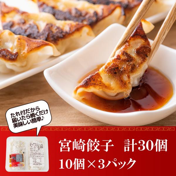 宮崎餃子計30個