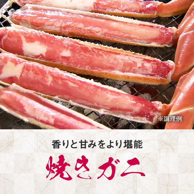 本ズワイガニ脚肉ボリュームセット2㎏