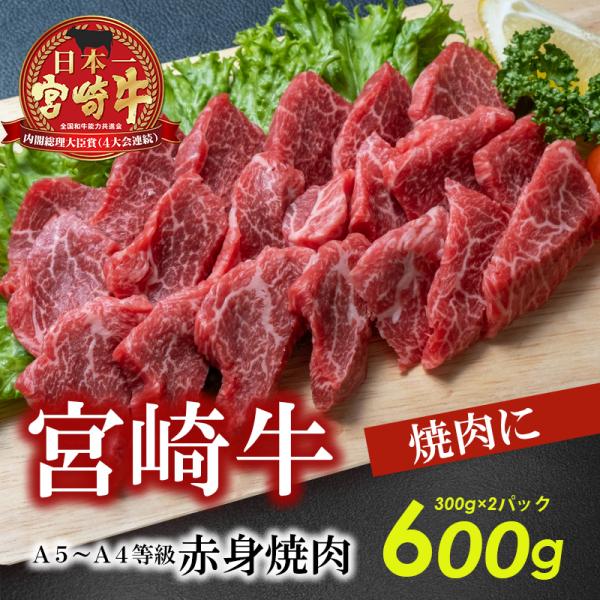 A5～A4等級 宮崎牛赤身焼肉