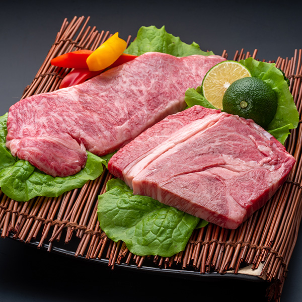 宮崎牛ロース食べ比べセット(サーロインステーキ・リブロースステーキ)各200g