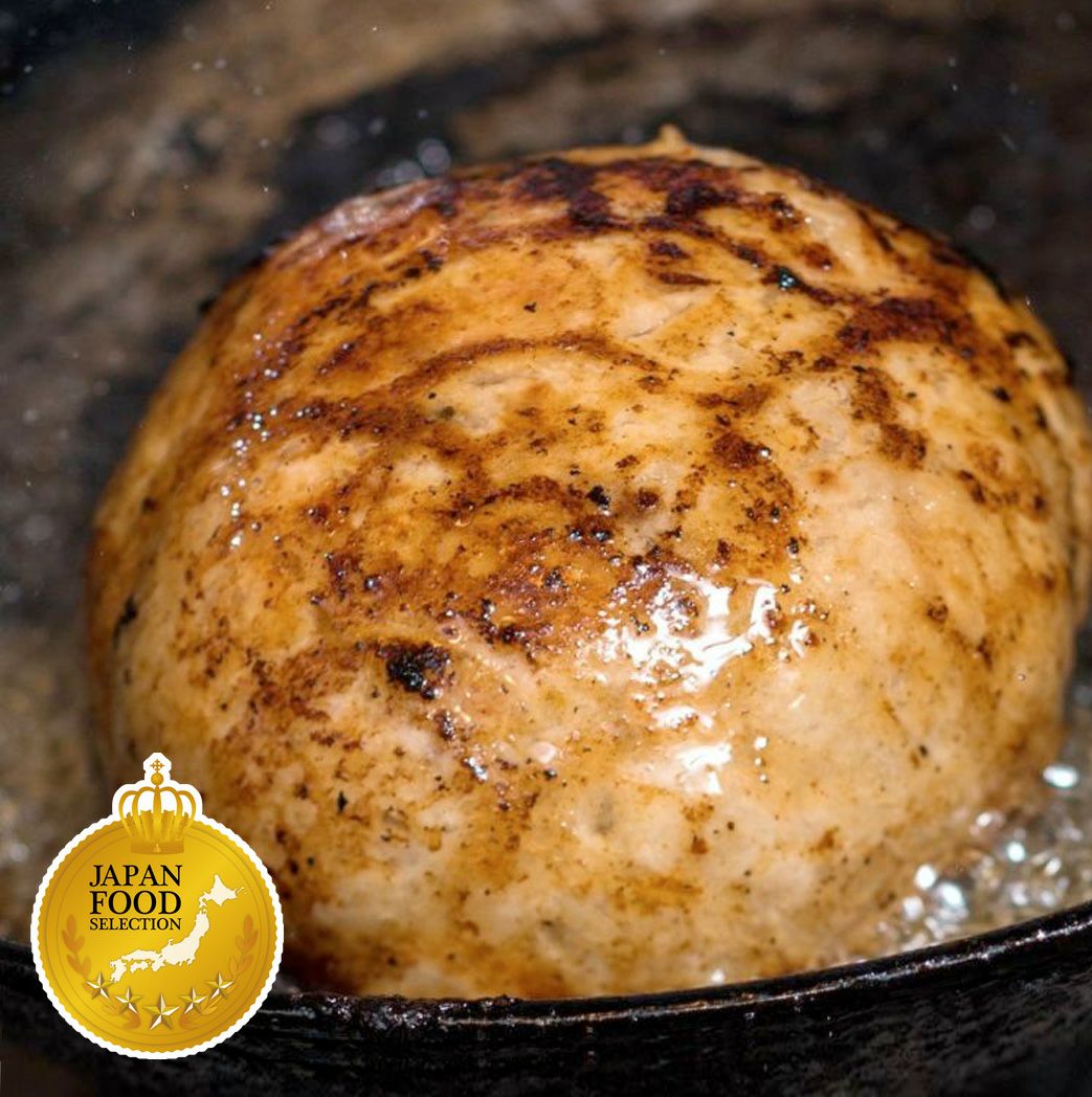 南ぬ豚　網脂ハンバーグ10個セット